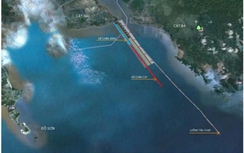 Đề xuất giao đảo Cát Hải cho Ban QLKT cảng Lạch Huyện quản lý