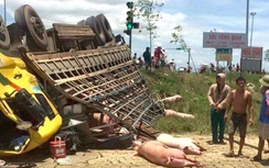 Xe tải chở lợn cuốn xe máy vào gầm, lật ngửa dưới ruộng