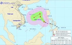 Tin bão số 9 Tokage trên Biển Đông: Gió giật cấp 10 -11