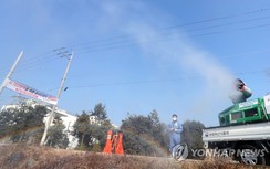 Hàn Quốc: Cúm gia cầm H5N6 bùng phát dịp Olympic PyeongChang