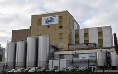 Pháp: Sữa Lactalis nhiễm khuẩn gây bệnh tiêu chảy