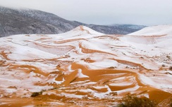 VIDEO: Tuyết rơi ở sa mạc nóng nhất thế giới Sahara