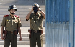 Thêm một sĩ quan quân đội Triều Tiên đào tẩu sang Hàn Quốc