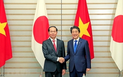 Việt Nam-Nhật Bản ra tuyên bố chung