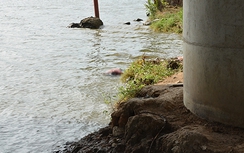 Hoảng hồn phát hiện thi thể một phụ nữ trên sông Sài Gòn