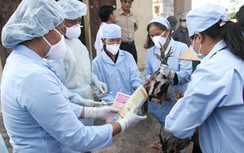 Hải Dương công bố có dịch cúm A/H5N1