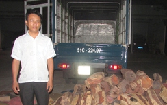 Đồng Tháp: Bắt đối tượng vận chuyển gỗ lậu