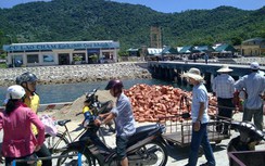 Đề xuất làm cáp ngầm xuyên biển đưa điện lưới ra Cù Lao Chàm