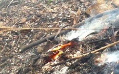 Cháy hơn 1.000m2 rừng do người dân đốt vàng mã