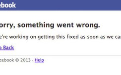 Treo 30 phút, Facebook mất gần 600 ngàn USD