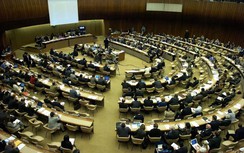 Hội đồng Nhân quyền LHQ thông qua báo cáo về quyền con người ở VN