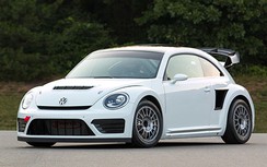 Volkswagen ra mắt "bọ rùa chiến" Beetle GRC