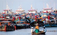 Tháng 7, ban hành chính sách hỗ trợ ngư dân đánh bắt xa bờ