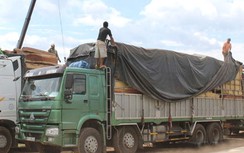 Bắt xe tải chở gỗ vượt tải trọng hơn 140%