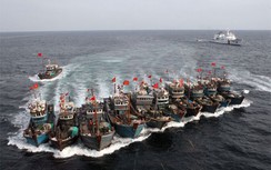 Tàu cá Trung Quốc đã di chuyển về khu vực đảo Hải Nam
