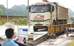 Dung dưỡng xe quá tải, Vicem Bỉm Sơn phủi trách nhiệm