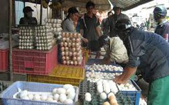 Trứng vịt lộn, cá quả Trung Quốc tràn vào Việt Nam
