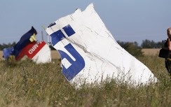 Chuyên gia Hà Lan hủy chuyến thăm hiện trường MH17 vì lý do an ninh