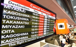 Nhật Bản: Hàng trăm chuyến bay, tàu cao tốc bị hủy vì bão Halong