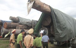 Bắt đoàn xe chở gỗ Lào "siêu khủng", lãnh đạo tỉnh nói gì?
