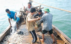 Triển khai chính sách hỗ trợ ngư dân