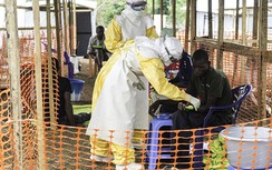 Australia hỗ trợ WHO kiểm soát dịch Ebola