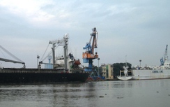 Đội tàu biển Việt Nam đang suy giảm mạnh