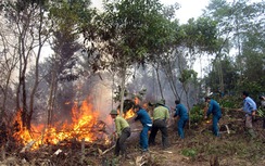 Hỗ trợ 160 tỷ đồng phòng chống cháy rừng