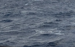 Cứu thành công 8 thuyền viên tại đảo Bông Bay - quần đảo Hoàng Sa
