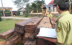 Hoàn tất thủ tục khởi tố vụ án phá rừng Cà Nhông