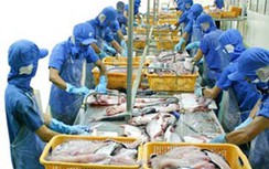 Kiểm tra đột xuất cơ sở xuất khẩu thủy sản nhiều vi phạm