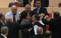 Choáng cảnh các nghị sĩ đánh nhau như đầu gấu giữa buổi họp QH