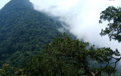Hơn 1 nghìn ha Vườn quốc gia Ba Vì 'về' tỉnh Hòa Bình