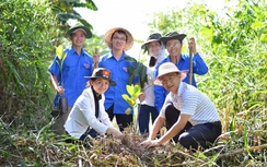 Sôi động cuộc thi tìm hiểu "Tự hào Trang sử Vẻ vang"