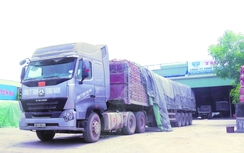 Xử nghiêm xe chở xi măng Bắc Giang quá tải