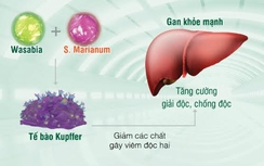 Tỷ lệ ung thư gan ở Việt Nam tăng nhanh