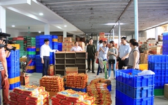 50 cơ sở bánh trung thu Hà Nội không đảm bảo vệ sinh