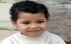 Sốc: Cậu bé 4 tuổi bị kết án chung thân vì tội giết người