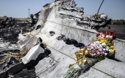 Bắt kẻ tình nghi ám sát chuyên gia điều tra vụ MH17