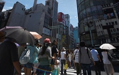 Gần 1.000 người Nhật Bản đột quỵ vì nắng nóng