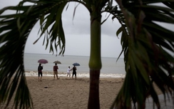 Mexico: 16 người bị bắt cóc tại khu nghỉ mát