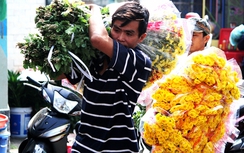 Kiếm chục triệu mỗi ngày ở chợ hoa tươi sầm uất nhất Sài Gòn