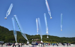 "Vật thể lạ" bay rợp trời tại biên giới liên Triều