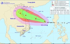 Hà Tĩnh: Đình chỉ các cuộc họp, ứng phó với bão số 10