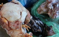Phát hiện gần 300kg thực phẩm "bẩn" ở HTX Hà Hương