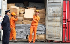 “Bỏ quên” 2 container tiền chất ma túy tại cảng Hải Phòng