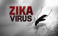 TP.HCM: Tăng cường kiểm soát khu vực có bệnh nhân nhiễm Zika
