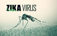 TP.HCM: 17/24 quận, huyện có ca nhiễm virus Zika