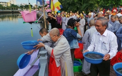 TP HCM: Thả hàng tấn cá phóng sinh mừng Phật Đản 2015