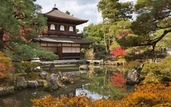 Chiêm ngưỡng những "tuyệt tác" đền, chùa ở Nhật Bản